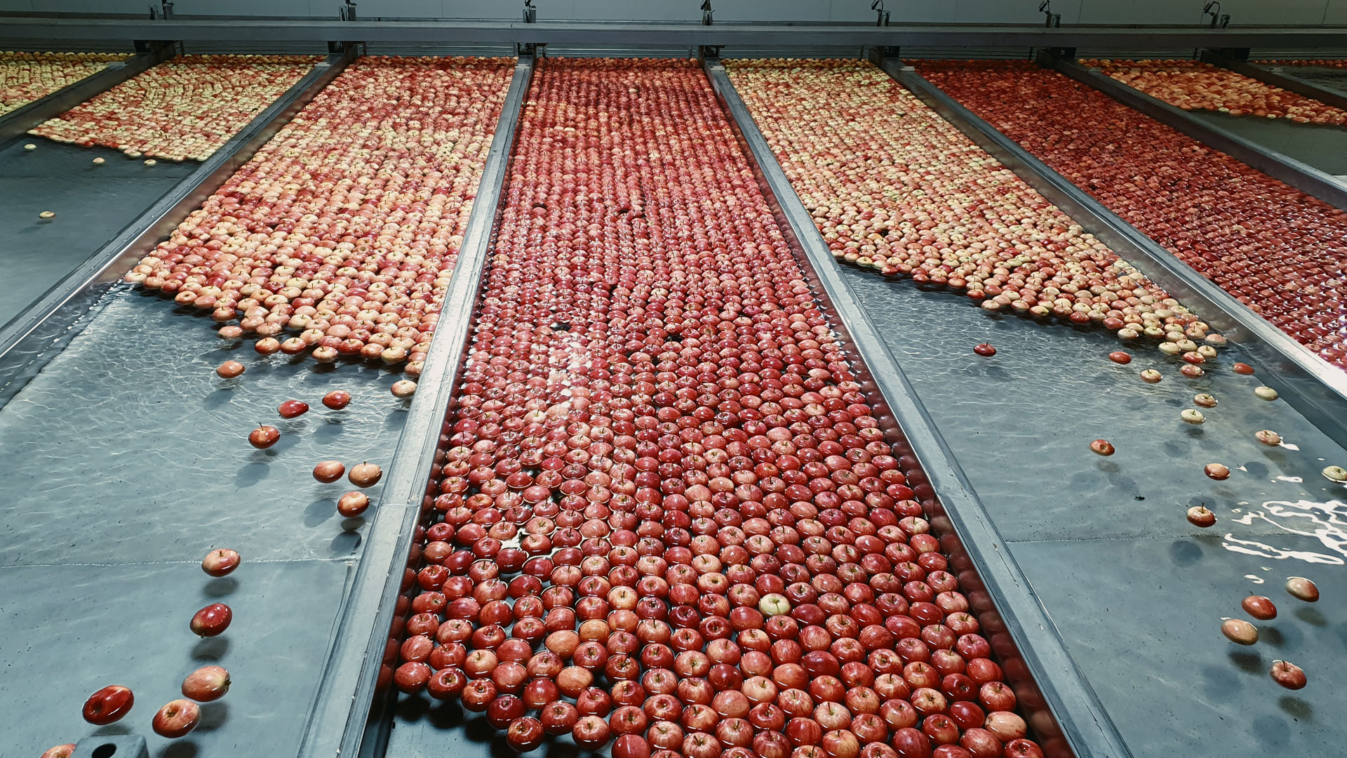 Förderbänder, Lager