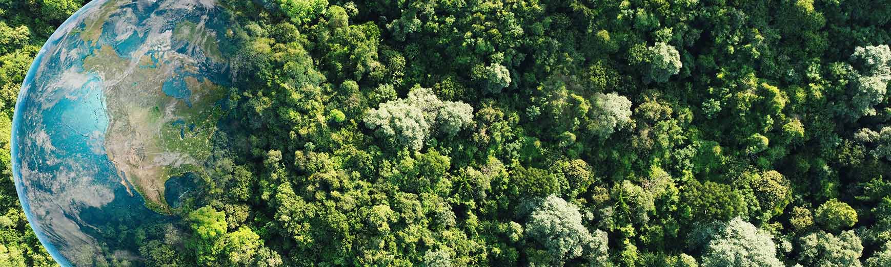 Politica per la Qualità di Enilive